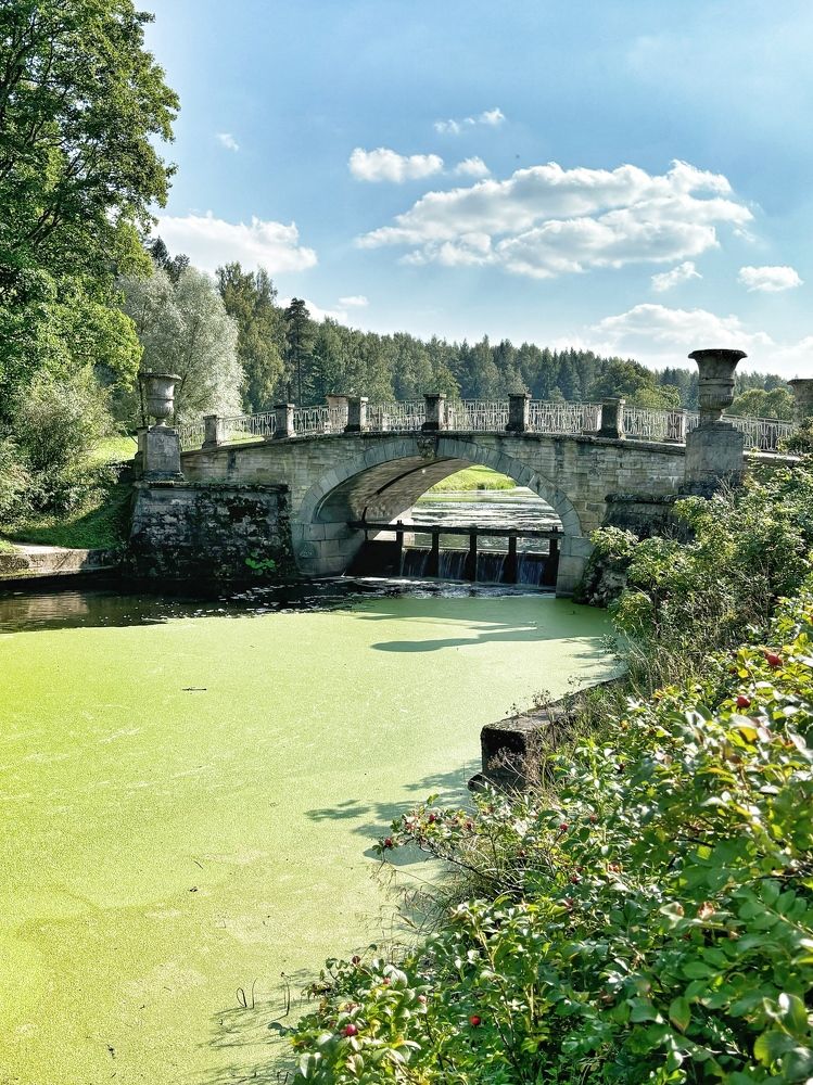 Photograph by Титаренко Людмила