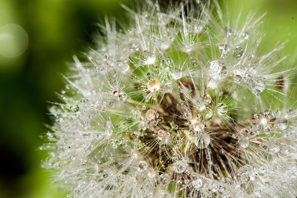 Photograph by Елена Быкова