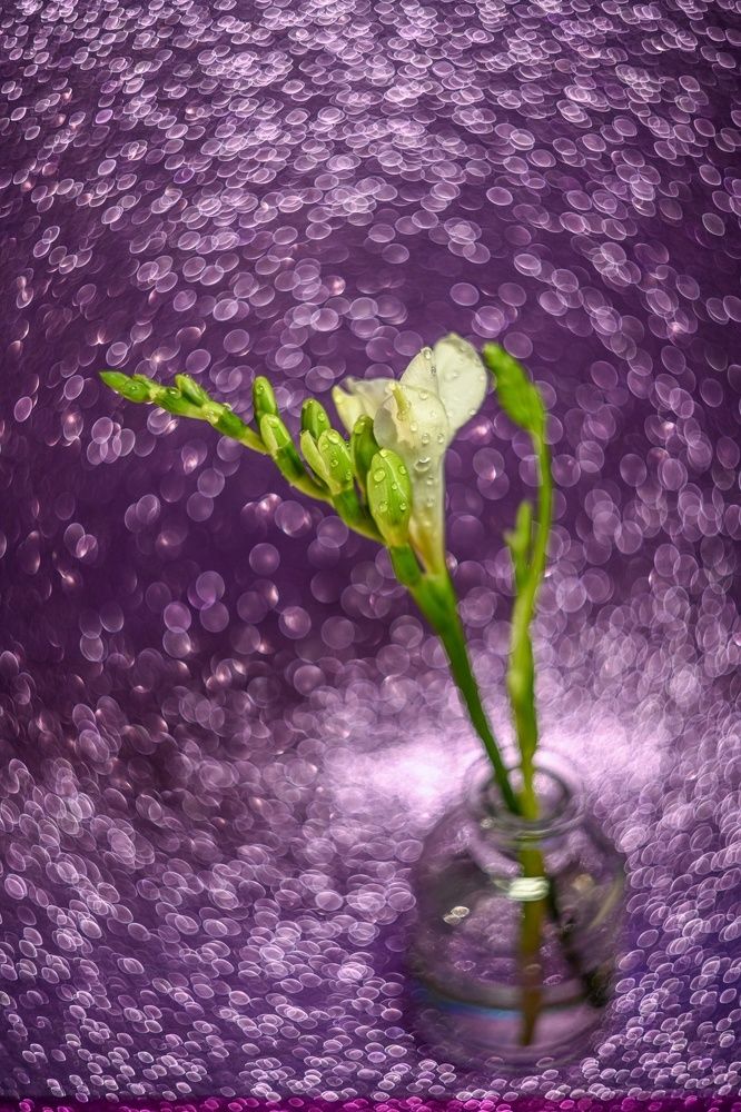 Photograph by Елена Быкова