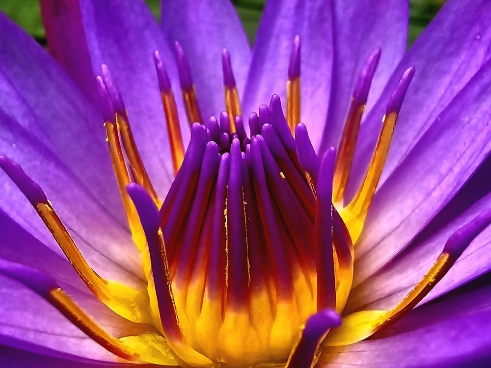 Photograph by Анна Семенова