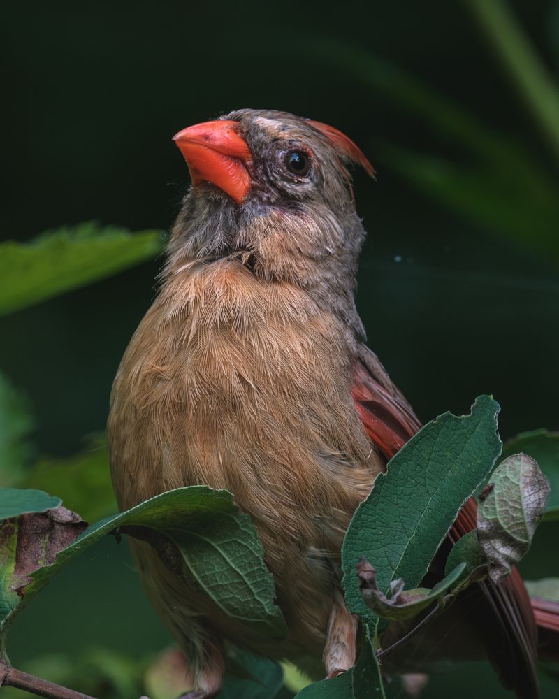 Photograph by Greg Noakes