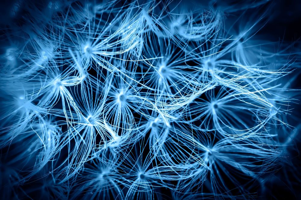 Photograph by Сергей Кочетов