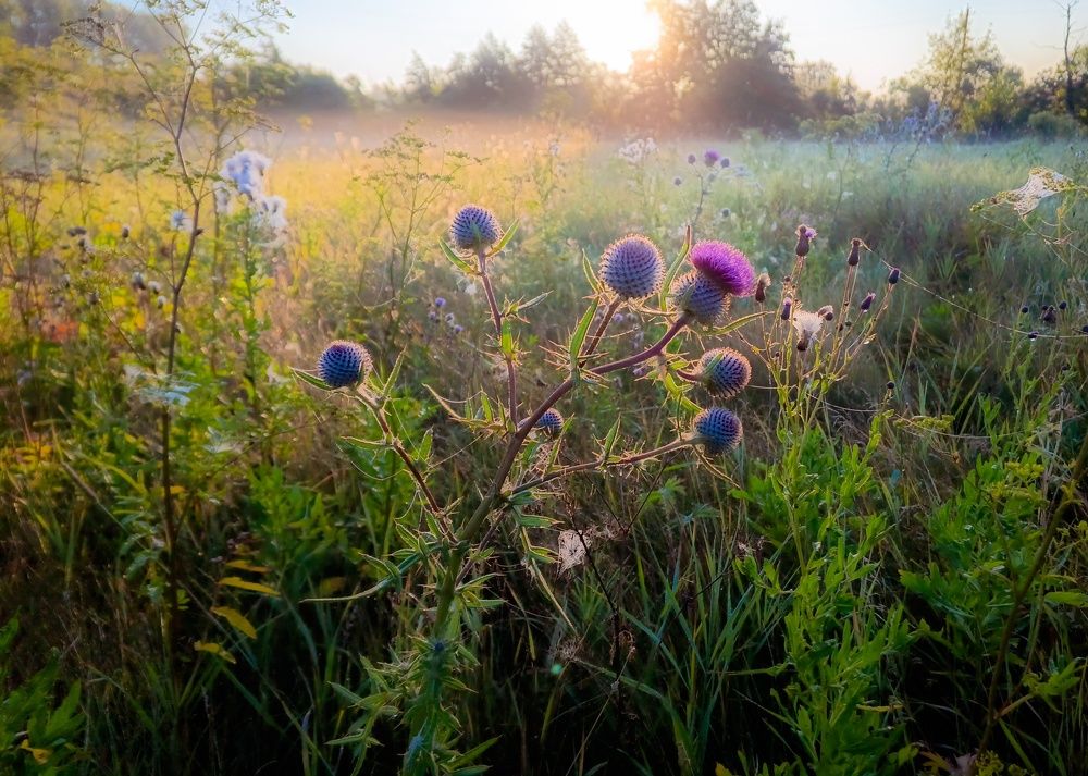 Photograph by Кондрашова Светлана