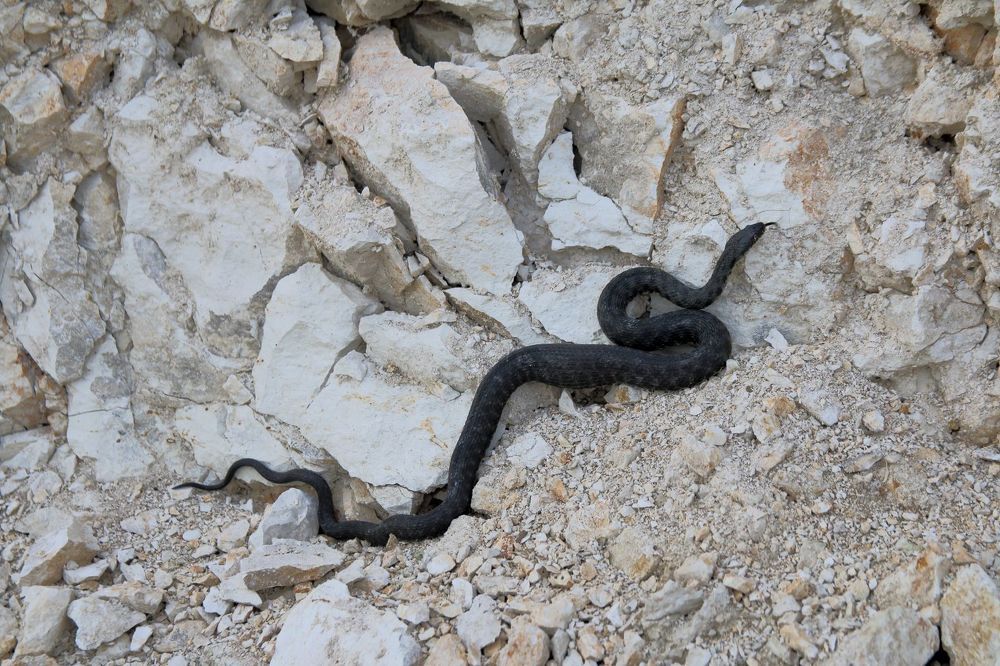 Photograph by Юрий Варюхин