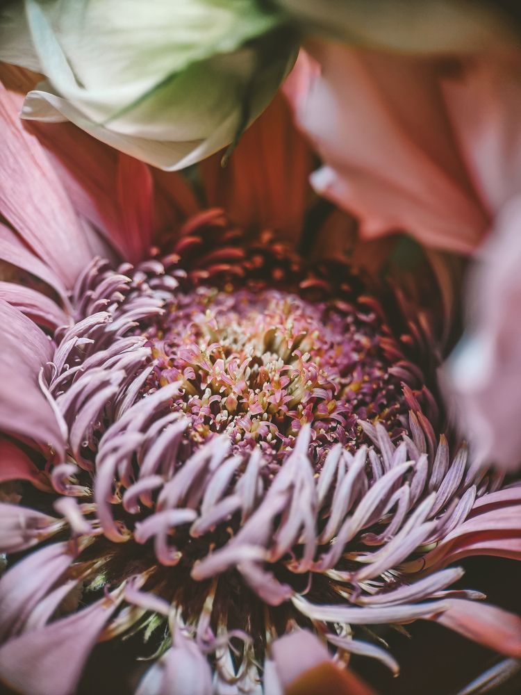 Photograph by Таисия Ищенко