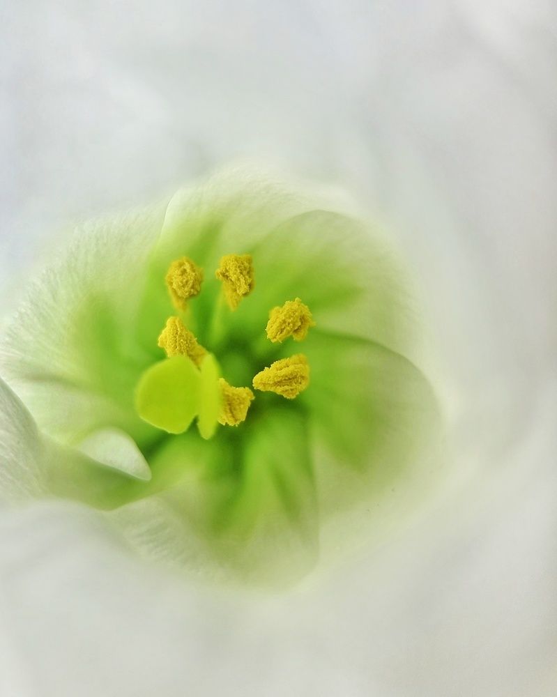 Photograph by Таисия Ищенко