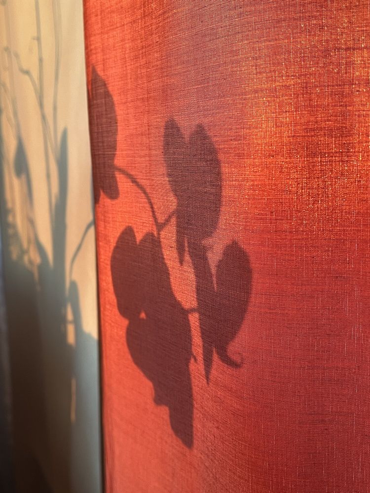 Photograph by Мария Халуторных