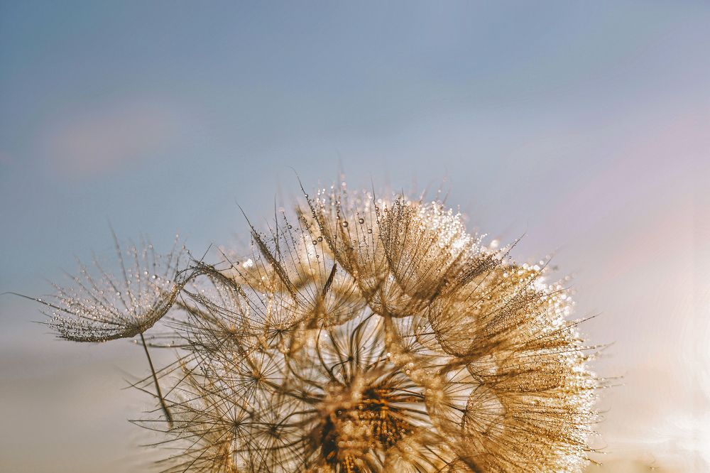 Photograph by Таисия Ищенко