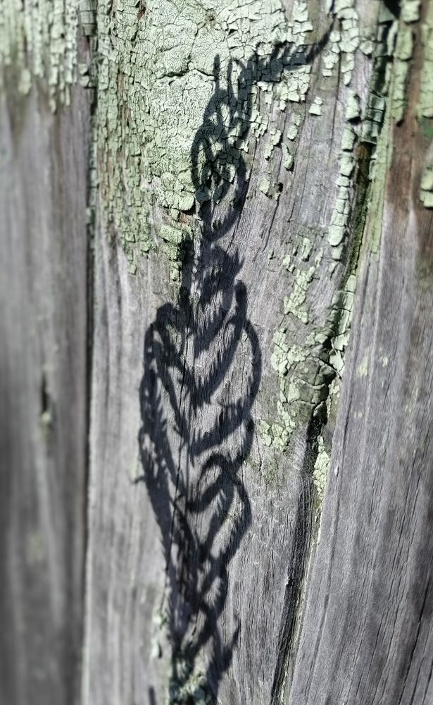 Photograph by Татьяна