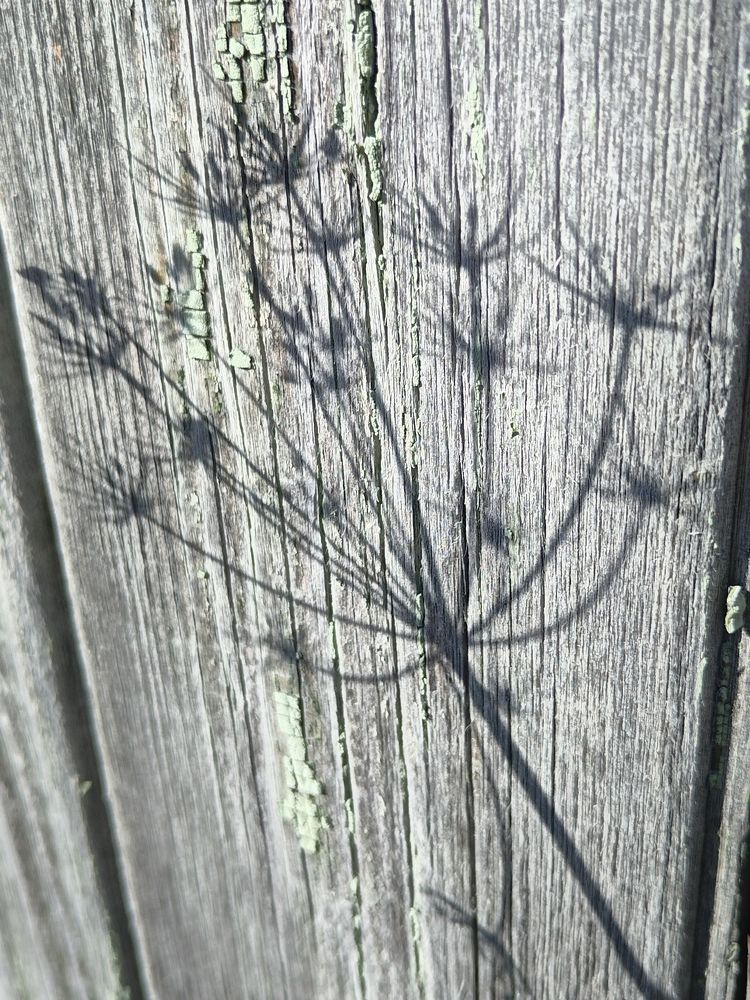 Photograph by Татьяна