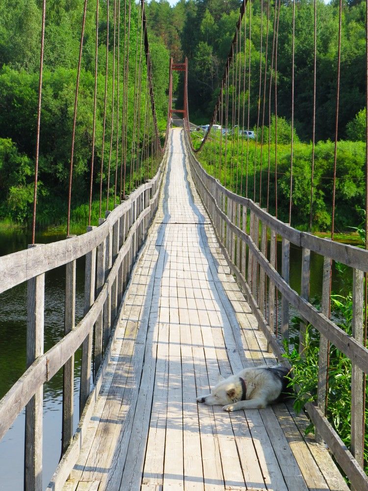 Photograph by Людмила Кононова