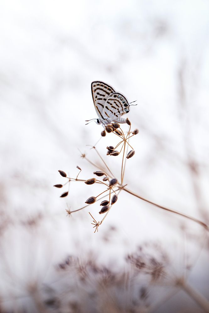 Photograph by ghaniya Almajrafi