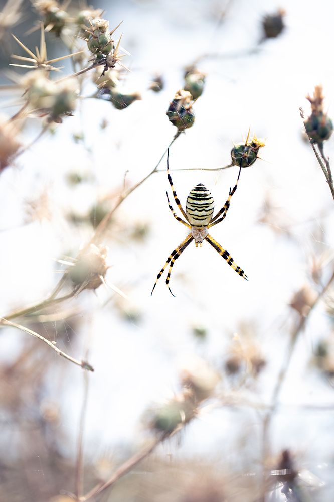 Photograph by ghaniya Almajrafi