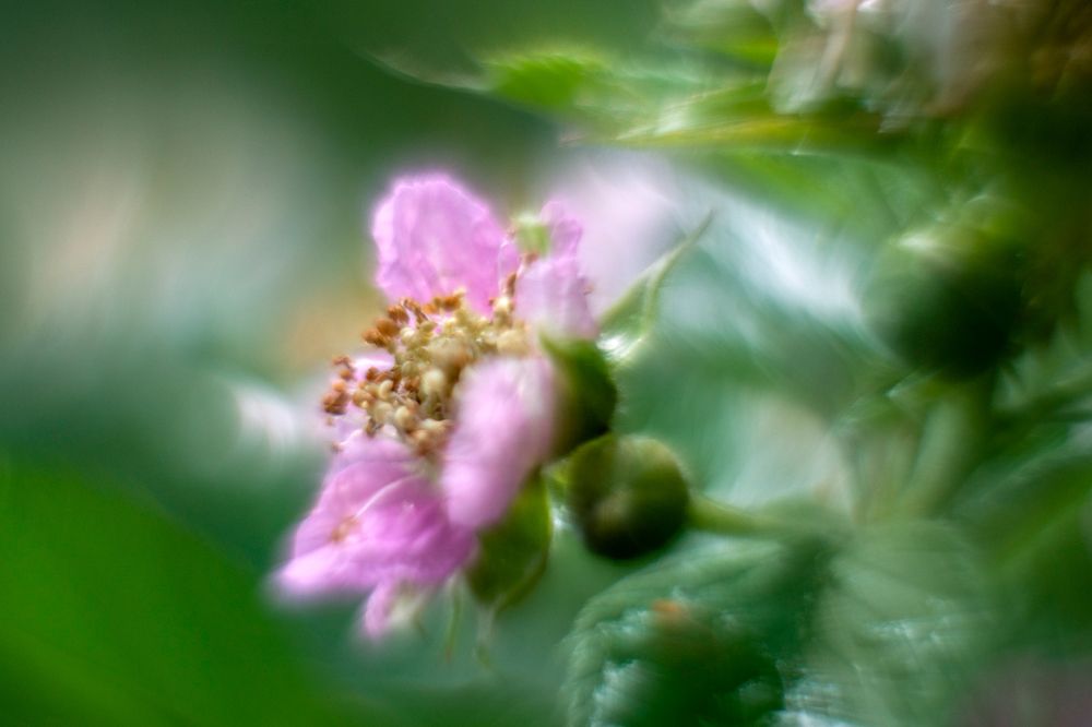 Photograph by Наталия Шинкевич