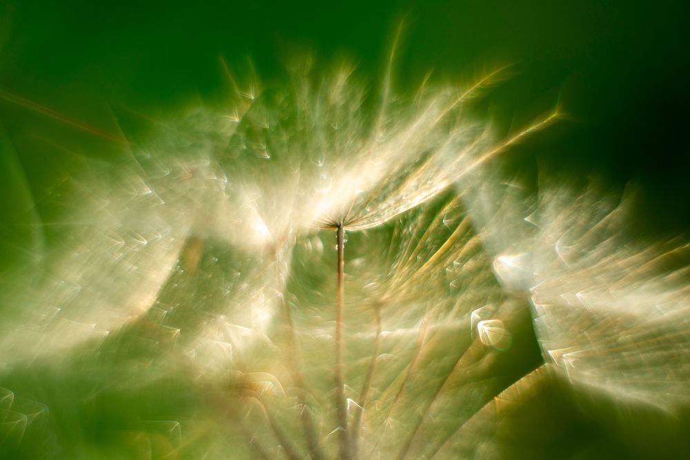 Photograph by Наталия Шинкевич