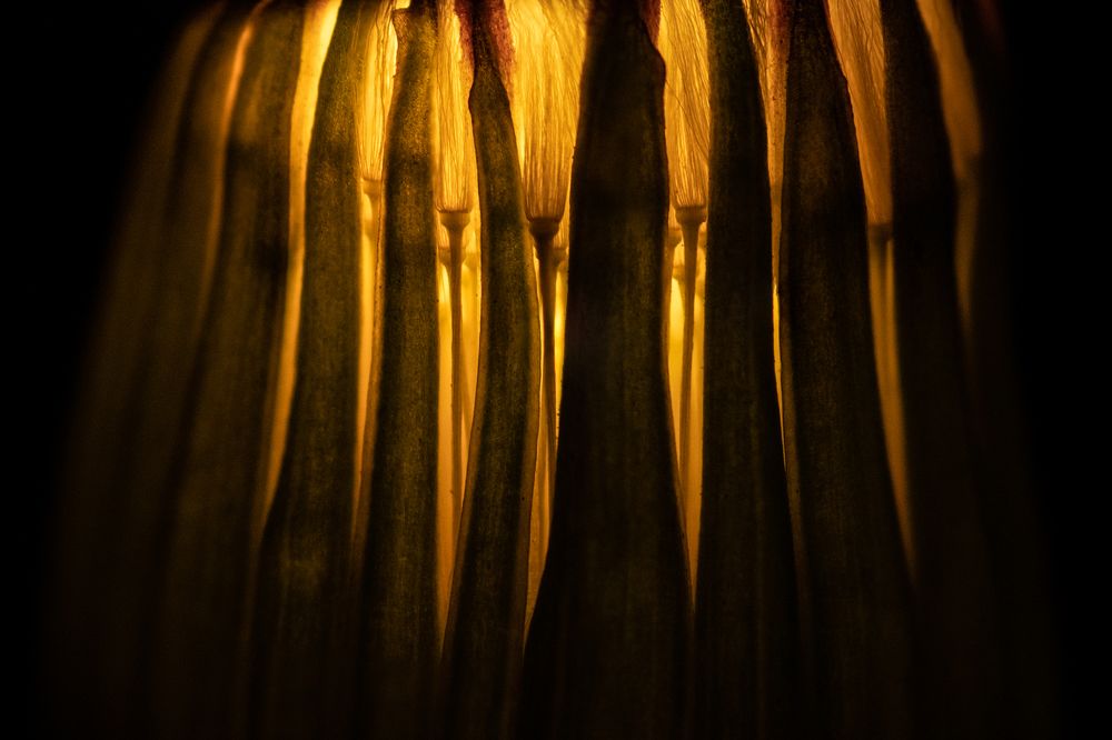 Photograph by Наталия Шинкевич