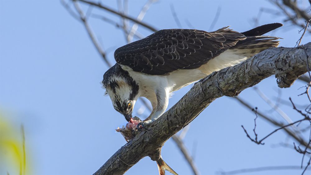 Photograph by Гришанов Пётр