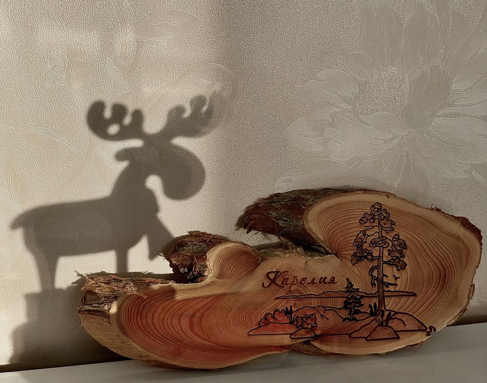 Photograph by Татьяна Раковская