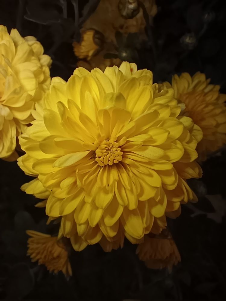 Фотография автора Андрей Занкович