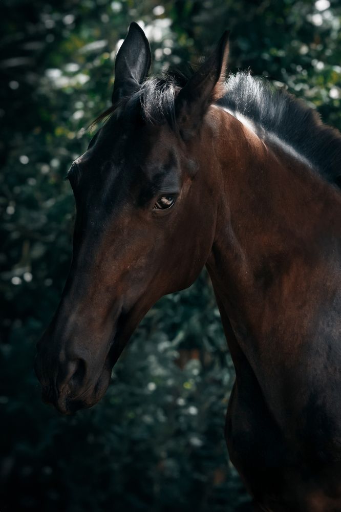 Photograph by Ирина Голомако