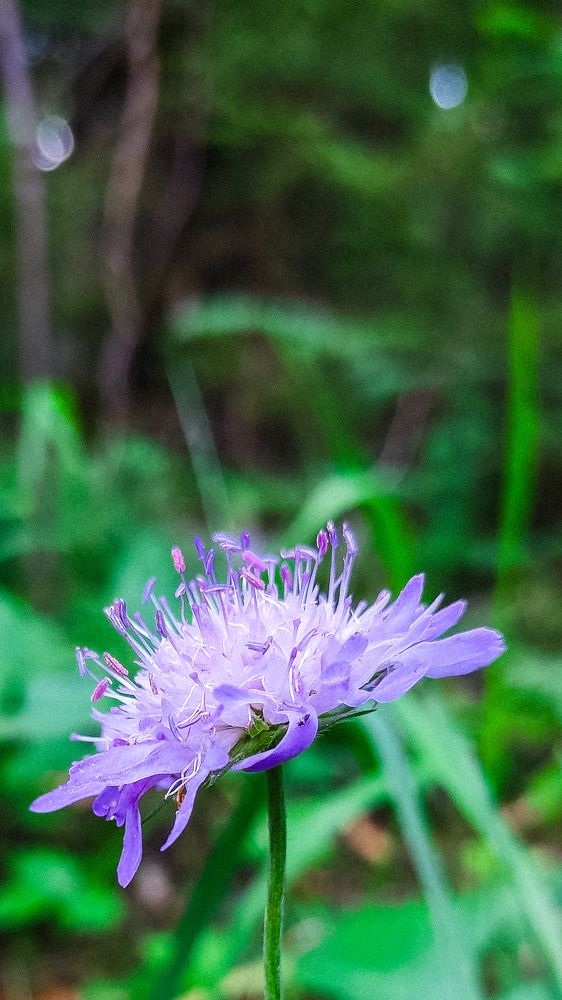Photograph by Евгения Гродинская