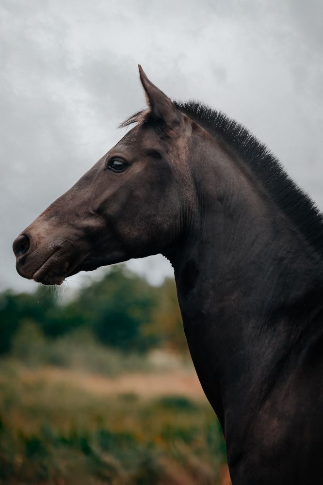 Photograph by Ирина Голомако