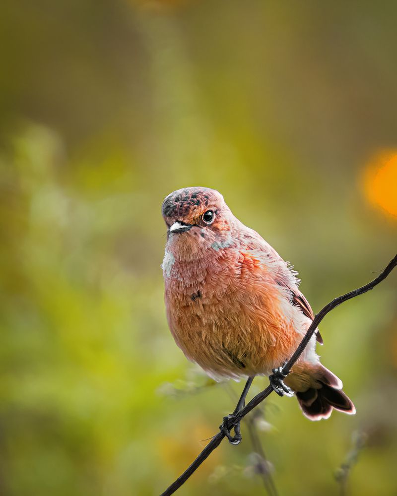 Photograph by Олег Белан