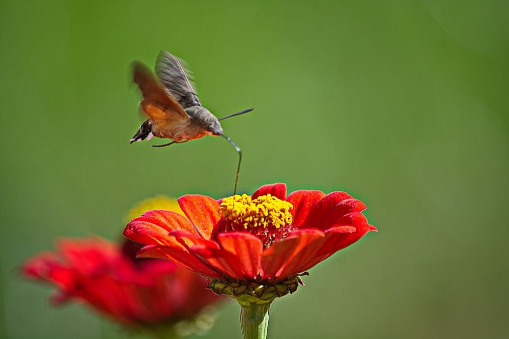 Photograph by Саркаров Юсиф