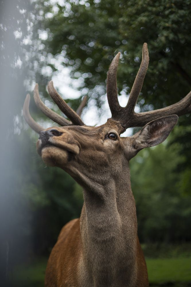 Фотография автора Максим Ремизевич
