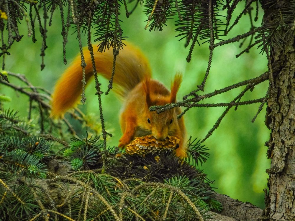 Photograph by Юлия Закопайло