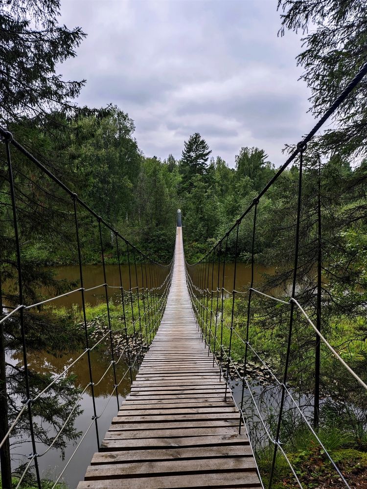 Photograph by Надежда Кангина