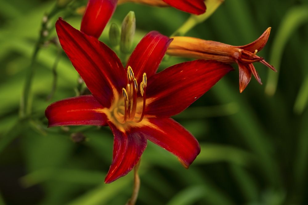 Photograph by Елена Ворошина