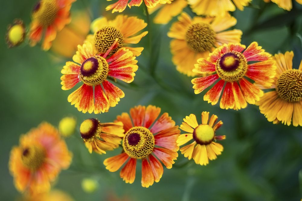 Photograph by Елена Ворошина