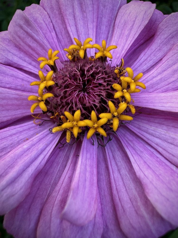 Фотография автора Евгения Елисеева