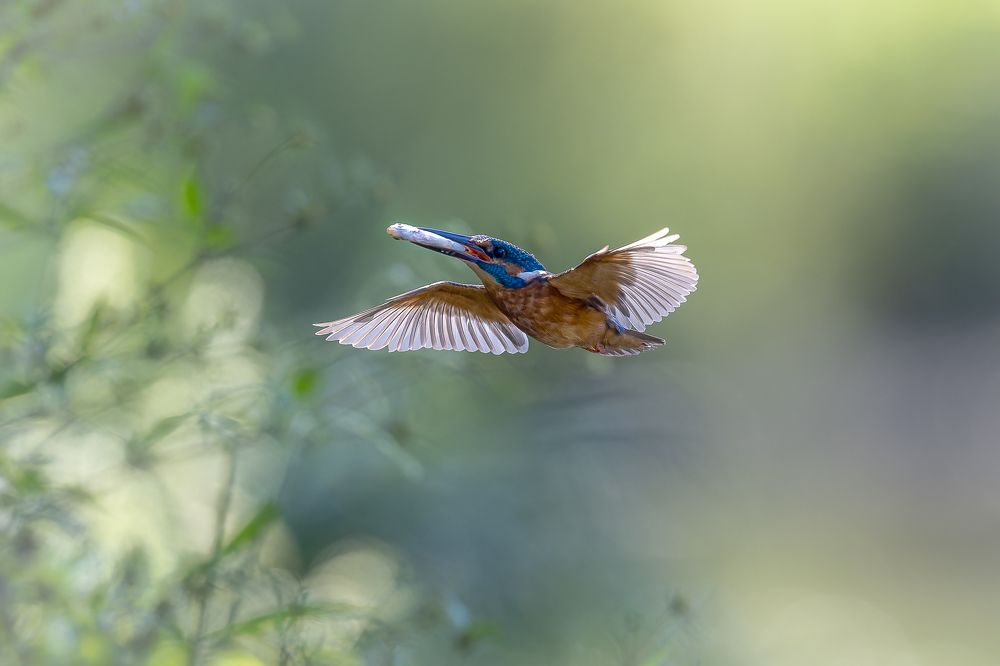 Photograph by Антон Науменко