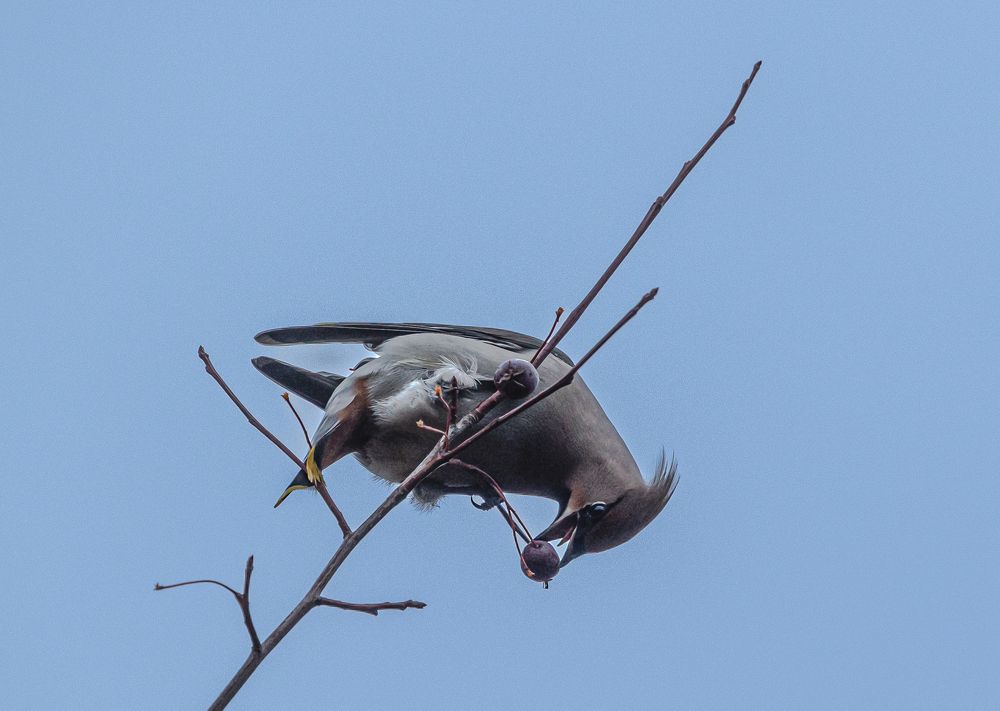 Photograph by Алексей Широбоков