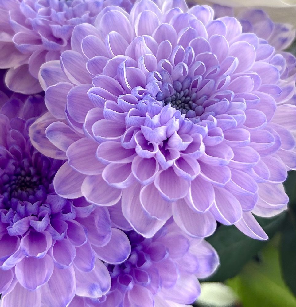 Photograph by Амирова Анар