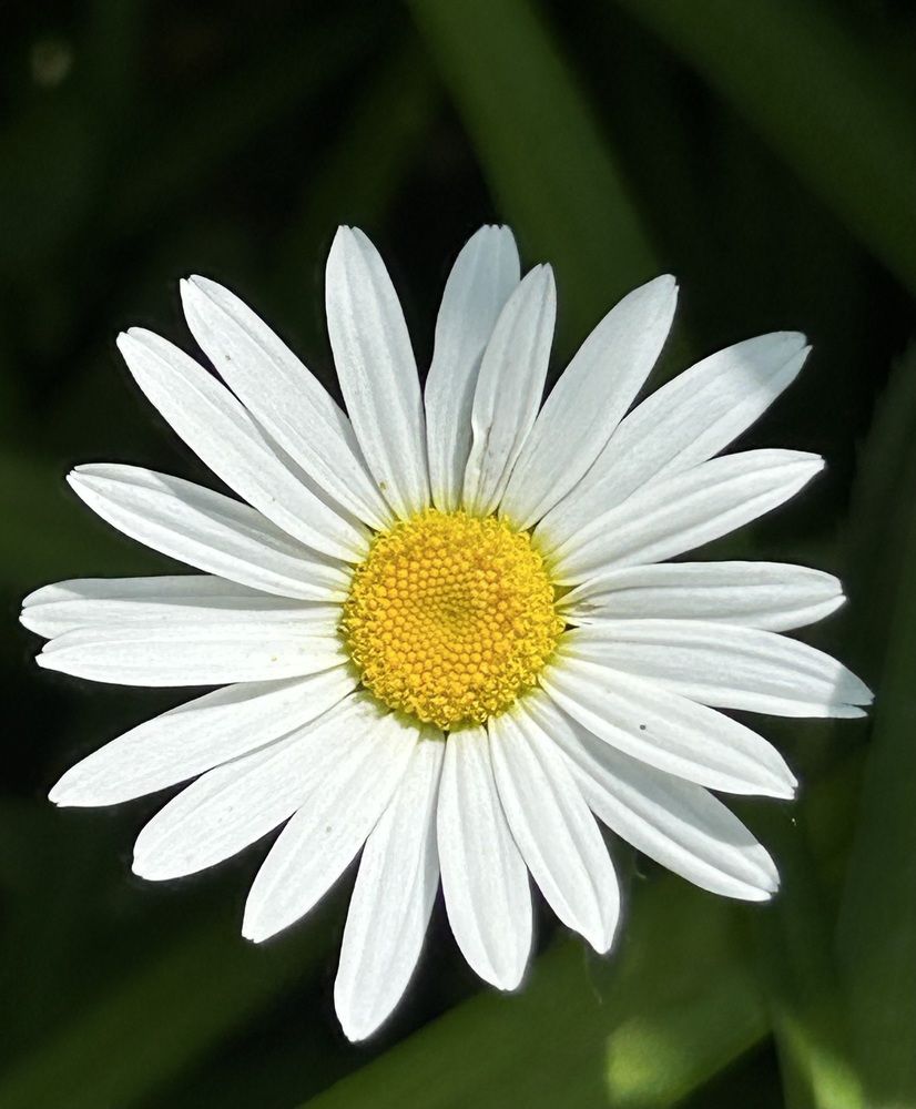 Photograph by Амирова Анар