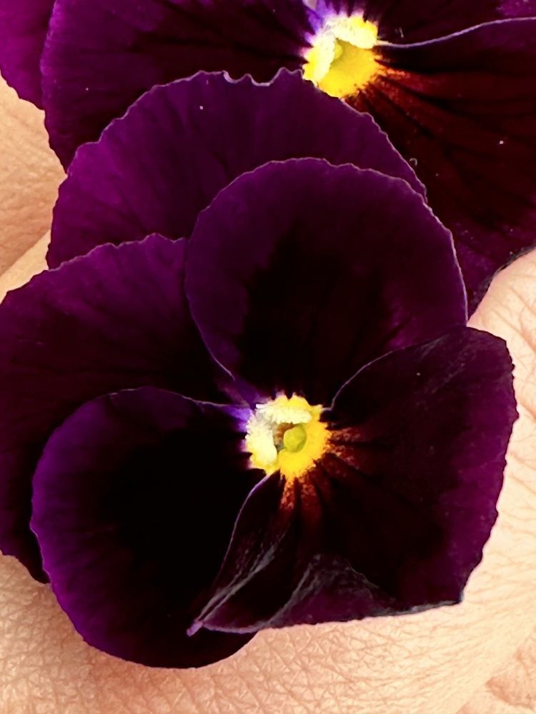 Photograph by Анастасия Конина