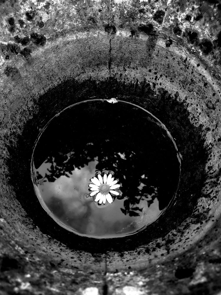 Одинокая красота