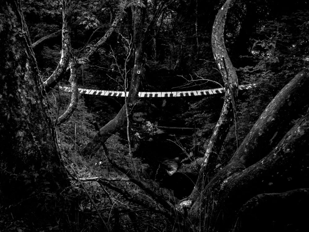 Photograph by CHRIS PAPAKIRITSIS