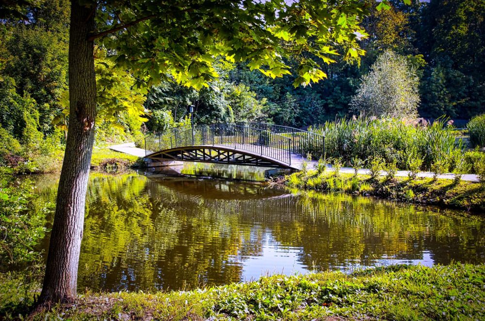 Photograph by Елена Малютина