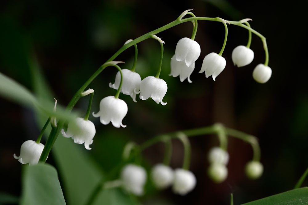 Фотография автора Dmitry Finkel