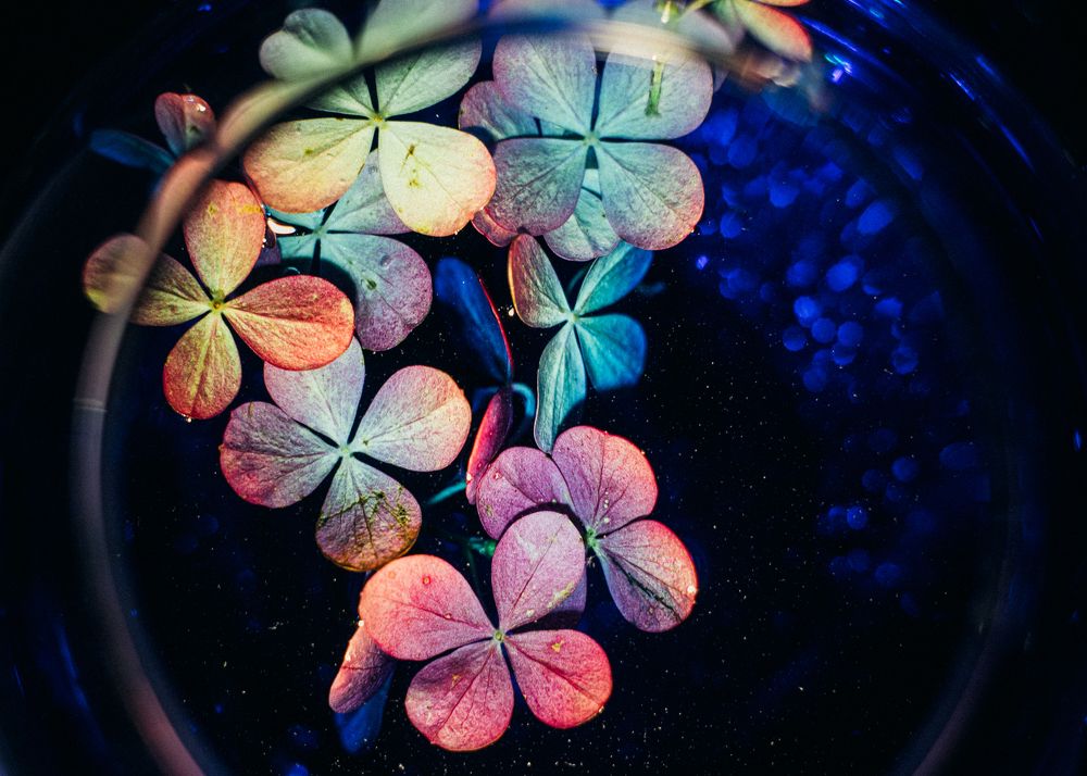 Photograph by Сергеева Марина