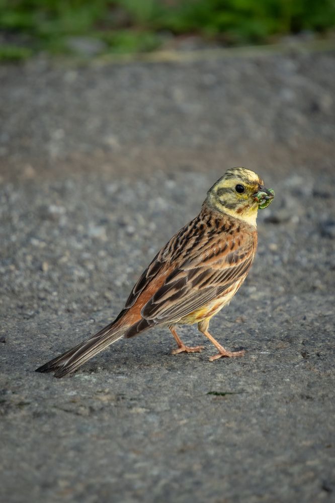 Photograph by Высотских Владимир