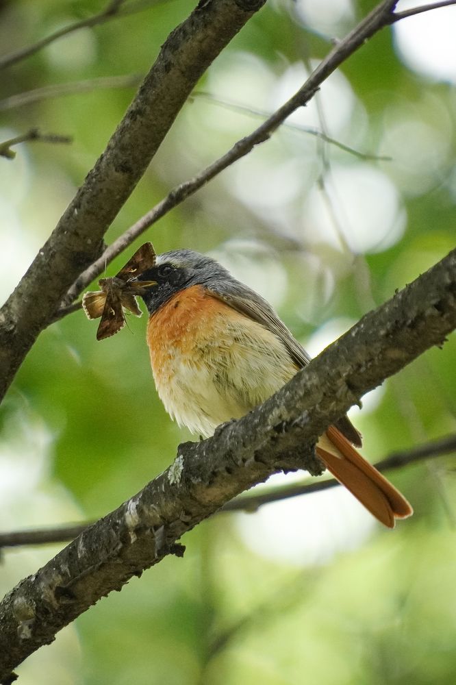 Photograph by Высотских Владимир