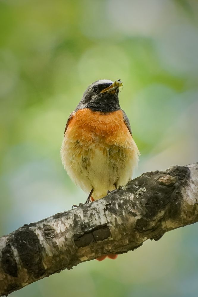 Photograph by Высотских Владимир