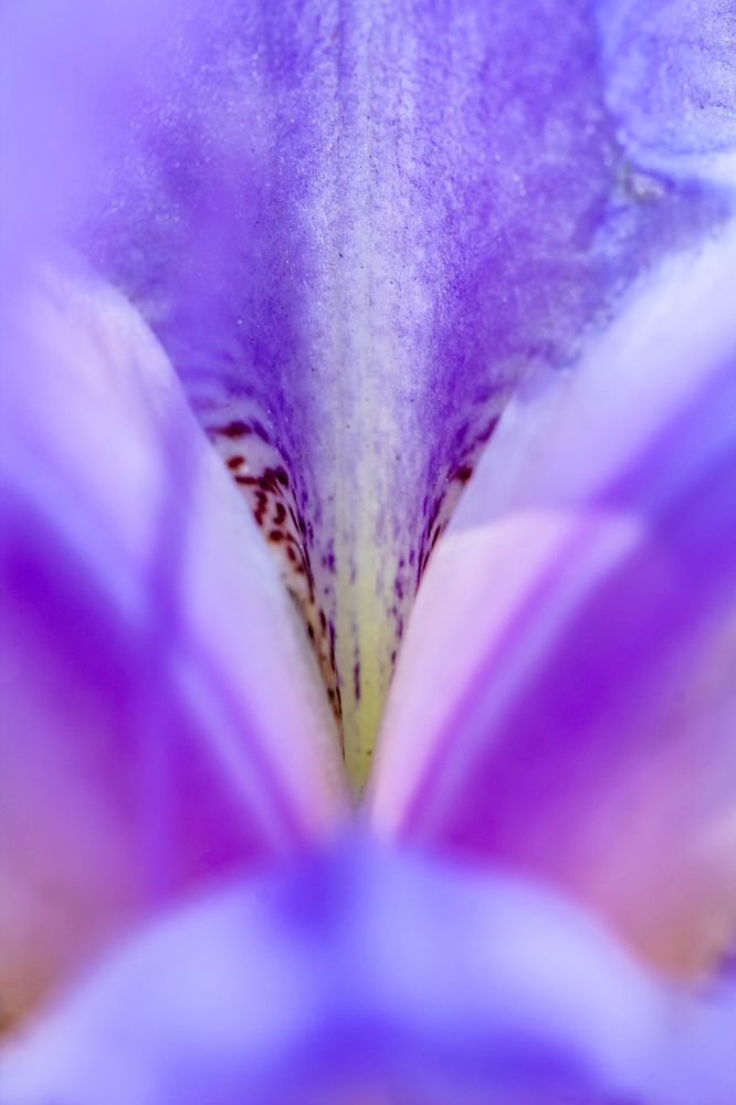 Photograph by Shalini Jain