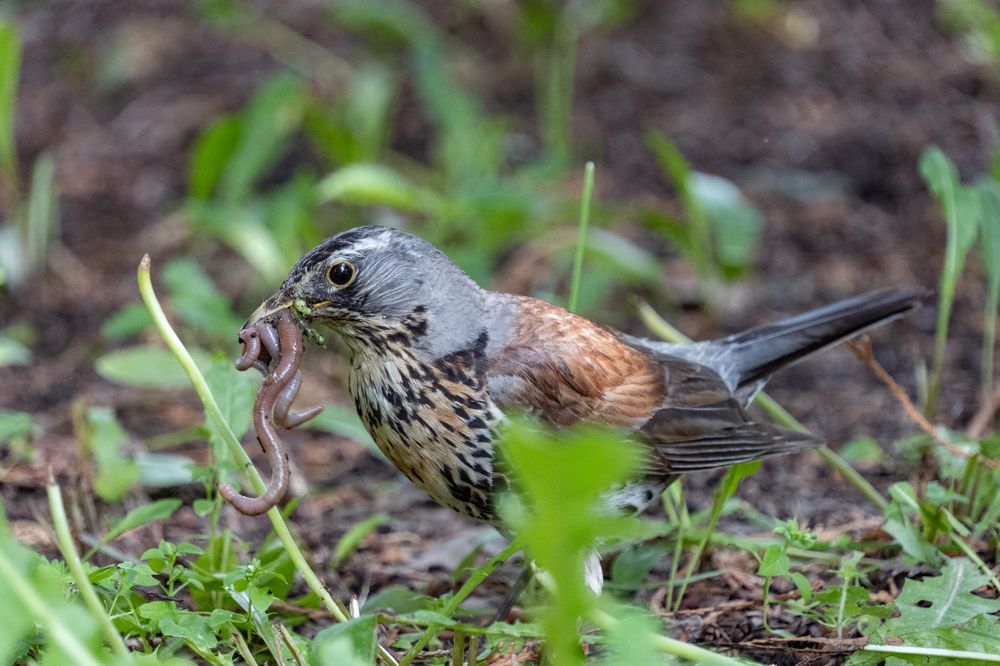 Photograph by Высотских Владимир