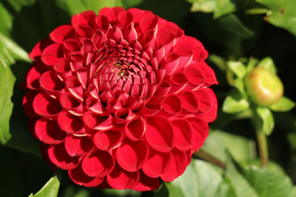 Photograph by Татьяна Елькина